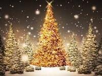 【Christmas】 -Lunch Course-