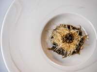 상어 지느러미 코스