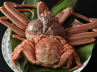 [Chef's Special Course]