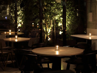 【12月来店用】種類豊富な前菜からデザートまでボリューム満足の大皿コース(2時間飲み放題付)