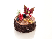 Bûche de Noël ブッシュ・ド・ノエル