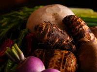 【おまかせコース】22,000円