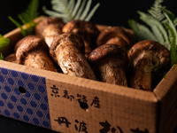 【季節限定　松茸コース】　38,500円