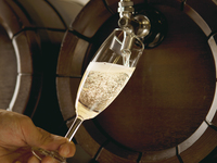 2025/10.11.12【WEB限定】女子会プラン：ランチ