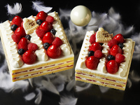 Advanced Purchase [2025 Christmas] Strawberry Shortcake 13cm 5,000 yen