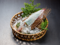 [Hishou] A total of nine dishes including live sashimi, salt-grilled blackthroat seaperch, and Kyushu-produced wagyu beef