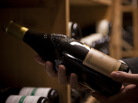 【ノエルC】ノンアルコールペアリング 8000