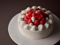 ノエル ブラン  L  丸型【 ¥8,800円(税別) 】