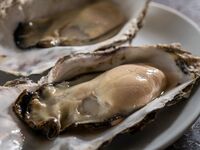 スタンダードコース