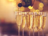 Year-End & New Year Party Plan — “Buffet + All-You-Can-Drink” (Weekdays)