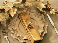 【2025Xmas dinner】ふかひれと鮑の煮込みなど＋おすすめスパークリング付き(席指定不可)