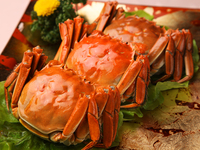 上海蟹&フカヒレ姿煮コース