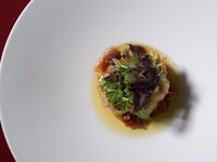 【Dinner】アーリー クリスマスコース　12/4~12/19