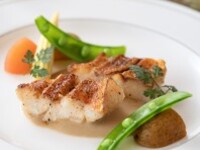 チョイスランチコース