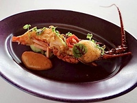 Early-Bird [LUNCH] Noel 2025 — The Ultimate Christmas Special Lunch Course: 9 Plates + Glass of Champagne + 4 Pairings (Dec 19–25)