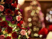 【Christmas Lunch】Noel 12/20~12/25