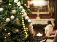 【クリスマス ディナー】ノエル（オシェトラキャビア）12/20~12/25