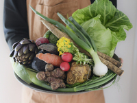 【ランチ】季節のおまかせコース