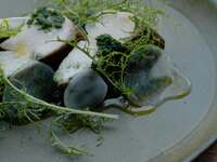 Fresh Fish Poêler with Shizuoka Green Tea Butter Sauce