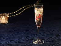 【クリスマスディナー2025 ～Plaisir～】2日間限定★生演奏付き聖なる夜を彩るスペシャルコースをお届け（クリスマスオリジナルカクテル付）