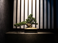 セレクトコース