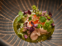 【季節のおまかせ】 旬の味覚とシェフの感性を堪能するおまかせコース 8,500円