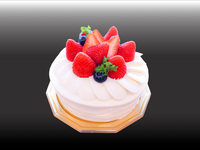 【2025クリスマスケーキ12/22～12/25】ホワイトノエル5号