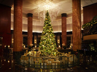 【12/15 - 12/19】Christmas Lunch Buffet ＋Sparkling Wine