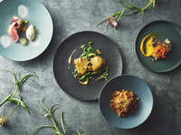 Dinner course (4 dishes)