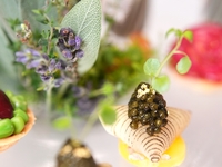 Lunch Course (Noël Special) with Wine Pairing"