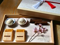 【おまかせコース】記念日デザート付き ※平日限定で乾杯スパークリング付き！