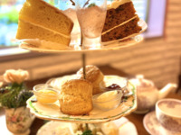 Casual Afternoon tea