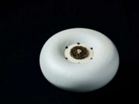 【12/23-12/25 ディナー】 クリスマスディナー6品コース+グラスシャンパーニュKRUG１杯 +ワインペアリング5杯付  