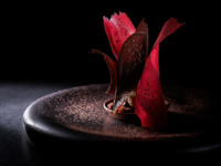 【12/19-12/22 DINNER】Christmas Dinner 5course+ Glass KRUG Champagne