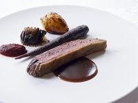 【LE CHENE】Canard（カナール）【2025年12月31日～2026年1月4日】