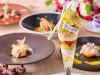 ＜平日ランチ＞[公式HP]＜大人のご褒美パフェ＞ランチコース 選べるメイン料理＆選べるデザート（ｽﾄﾘﾝｸﾞｽﾌﾟﾘﾌｨｯｸｽ）