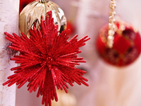 （Lunch）～ Menu de Noël 2025 ～　12,500円