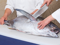 【オンライン限定】　【1/3・4開催】新春ディナーブッフェ　マグロの解体ショー（飲み放題）