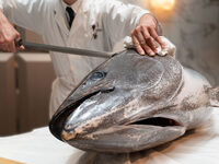 【1/23(金)限定ディナー(大人)】 Premium Buffet 極 －KIWAMI－ 第9弾  日本料理 「鮪 解体ショー」