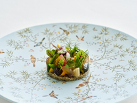 [Sam Falls Exhibition Special] Lunch Course