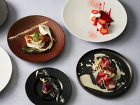 [Official website exclusive bonus included: SCAPES full dinner course] A total of 9 seasonal dishes based on the theme of "The Colors of Hayama's Land"