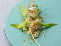 [Includes one drink of your choice] A total of 6 dishes featuring Yamayuri pork from Kanagawa Prefecture, seasonal ingredients from the Miura Peninsula, and Misaki tuna