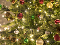 【平日ランチ】クリスマスランチ［ランチフルコース・全5品］