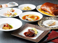 11～4月/楊貴妃コース※乾杯用1ドリンク付き　最終入店13：30 