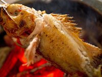 12/1～【Members Only】Special Course