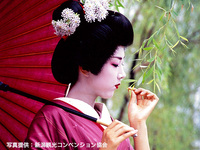 [Cultural Immersion] Private Room & Geigi Dance Performance (60-min)