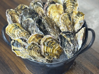 牡蠣のバケツ盛り [大] & 牡蠣のスンドゥブ鍋セット