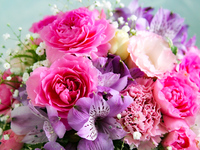 土日祝【女子会限定プラン】ゆとりの3時間プレミアム飲み放題付き！魚・肉料理のWメインを楽しめるフルコース