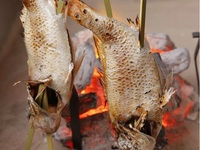 ＜全室個室＞【極】喉黒・松阪牛・紅ずわい蟹等いろり焼き5種と寒鰤大根、白子ぽん酢など～全10品～