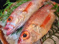 <All private rooms> [Exquisite] 10-course meal including 5 kinds of grilled seafood (blackthroat seaperch, Matsusaka beef, red snow crab, spiny lobster, etc.) and simmered firefly squid and spring vegetables.
